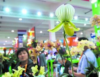 2017国际家庭花卉园艺展览会在常开幕