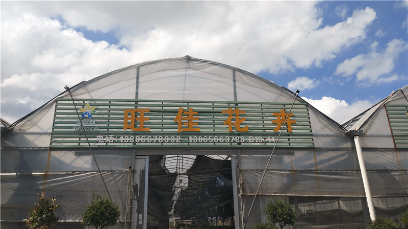 旺佳花卉 