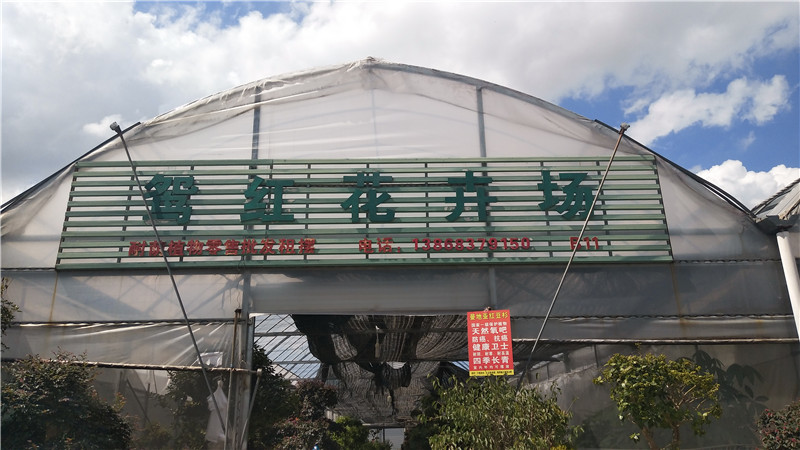 鸳红花卉场 