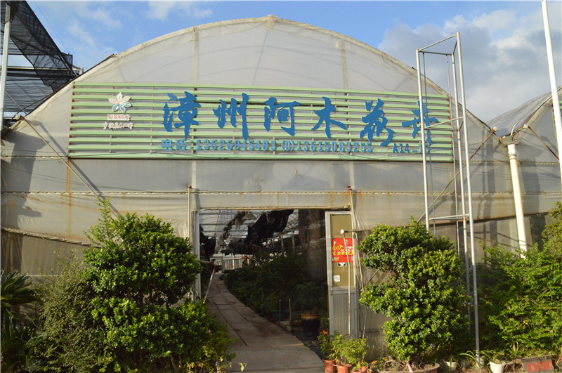 阿木花卉  