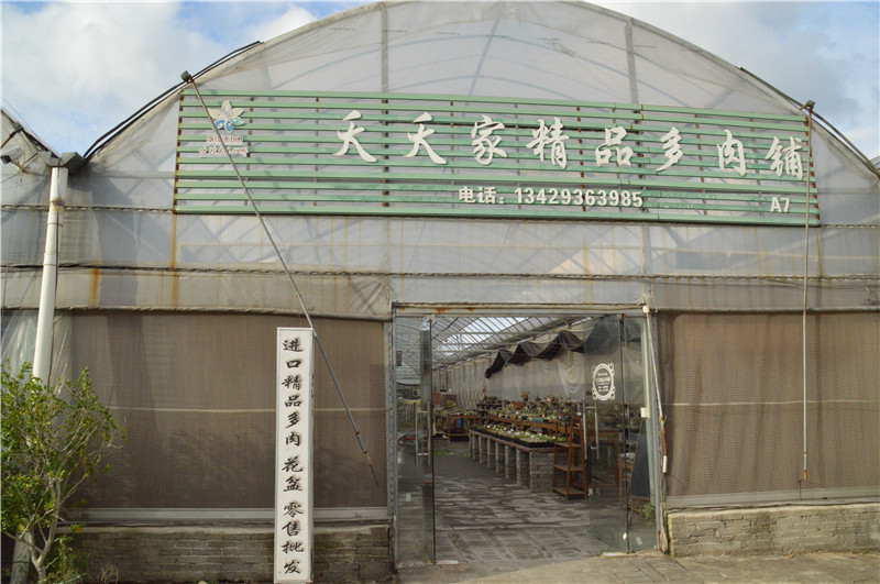 夭夭家精品多肉铺