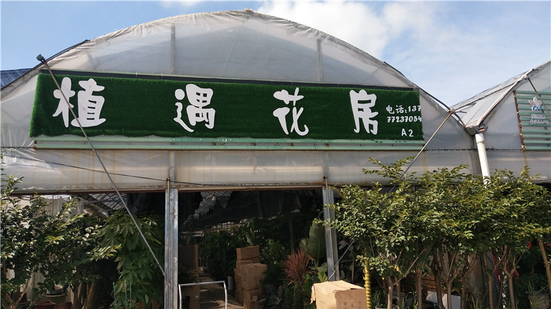 植遇花房