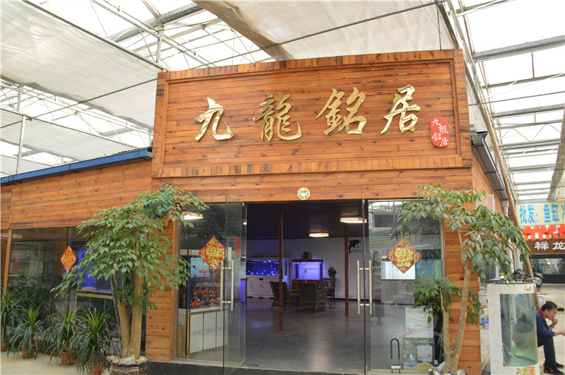 九龙铭居