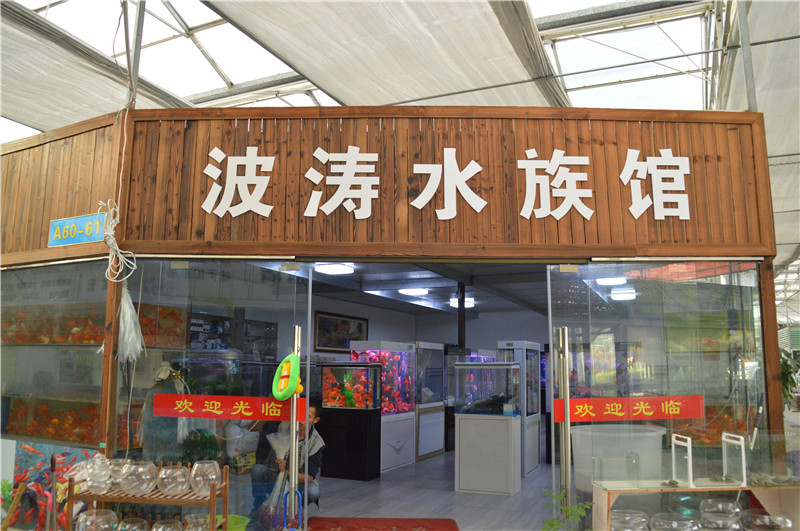 波涛水族馆