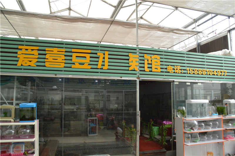 爱喜豆水族馆