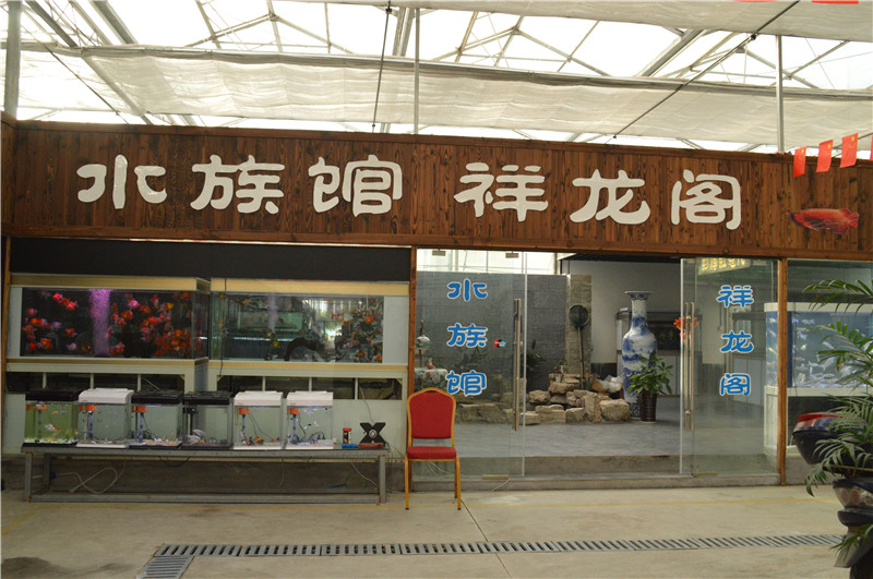 祥龙阁水族