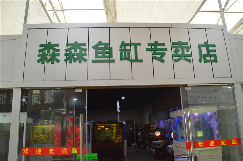 森森鱼缸