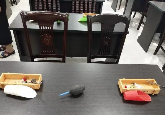 【活动】一起来玩创意多肉组合！